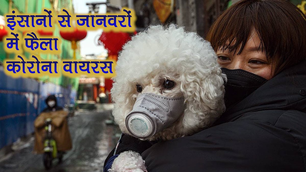 फोटो: सोशल मीडिया