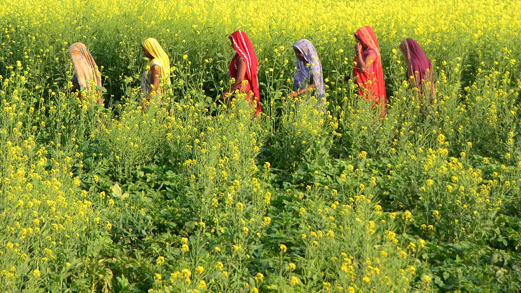 फोटो : Getty Images
