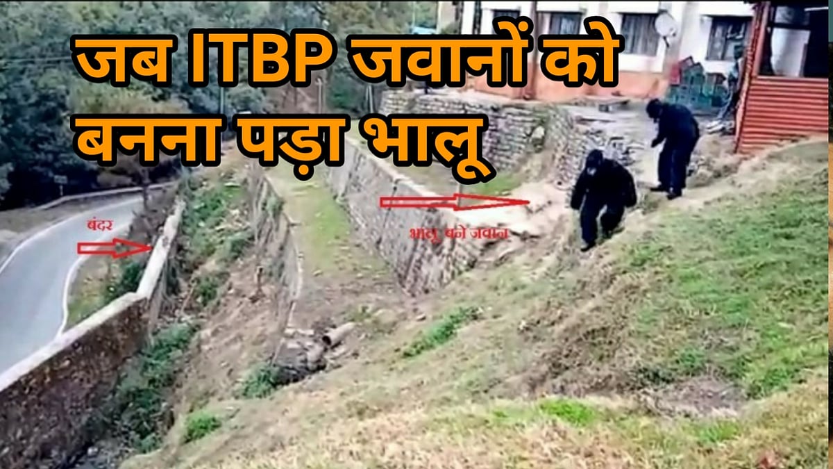 वीडियो: आखिर भालू बनकर क्यों पहाड़ों पर उछलूद करना पड़ा ITBP जवानों को !