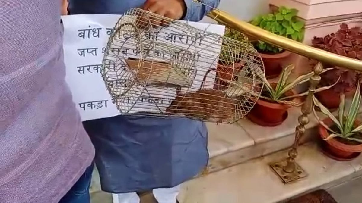 फोटो: सोशल मीडिया