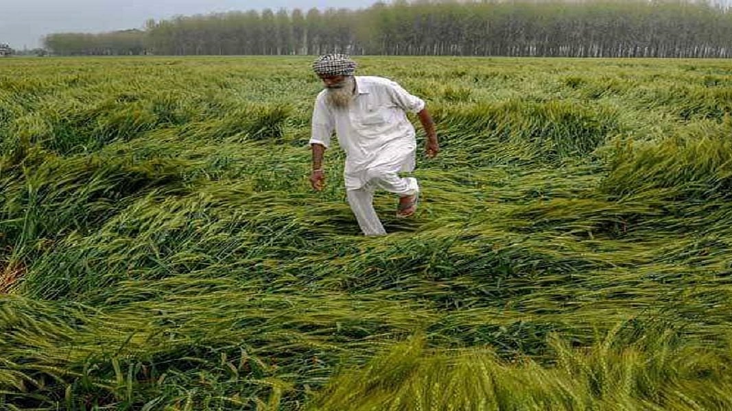 फोटोः सोशल मीडिया