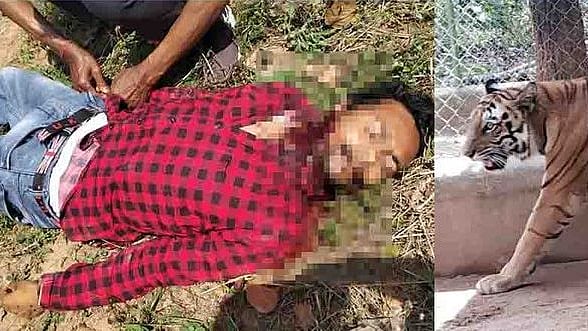 फोटो: सोशल मीडिया