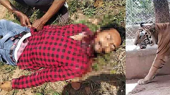 फोटो: सोशल मीडिया