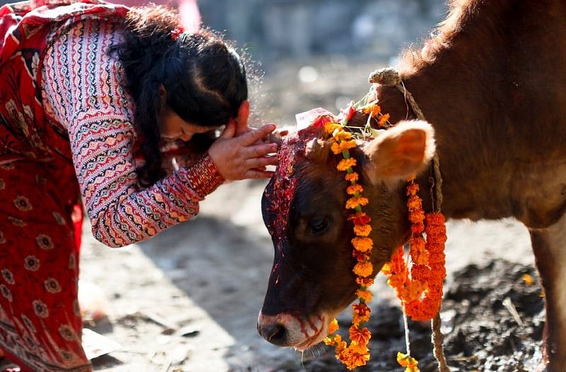 दुनिया भर में कोरोना वायरस से हो रही मौतों के बीच BJP विधायक का ज्ञान, कहा- गोमूत्र, गोबर से हो सकता है इलाज