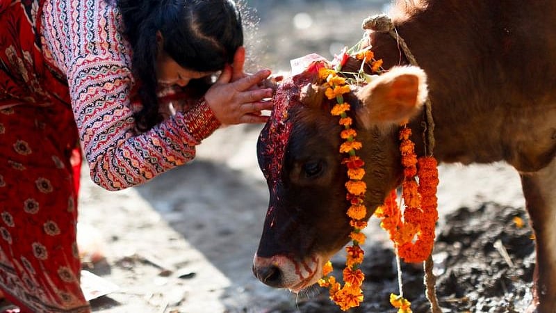 फोटो: सोशल मीडिया
