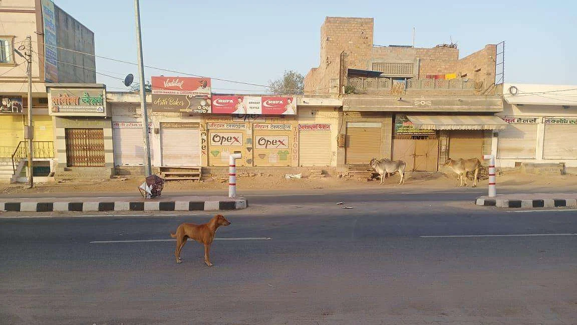 फोटो: सोशल मीडिया