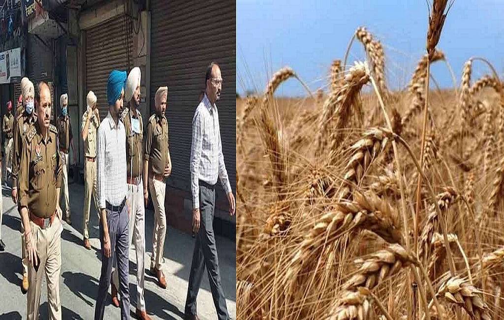 फोटो: सोशल मीडिया