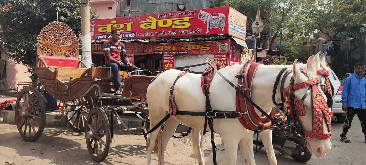 कोरोना के कोहराम में शादियां थमी, राजधानी दिल्ली में करोड़ों रुपये का ‘घोड़ी-बघ्घी’ कारोबार चौपट
