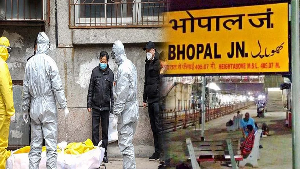 फोटो: सोशल मीडिया