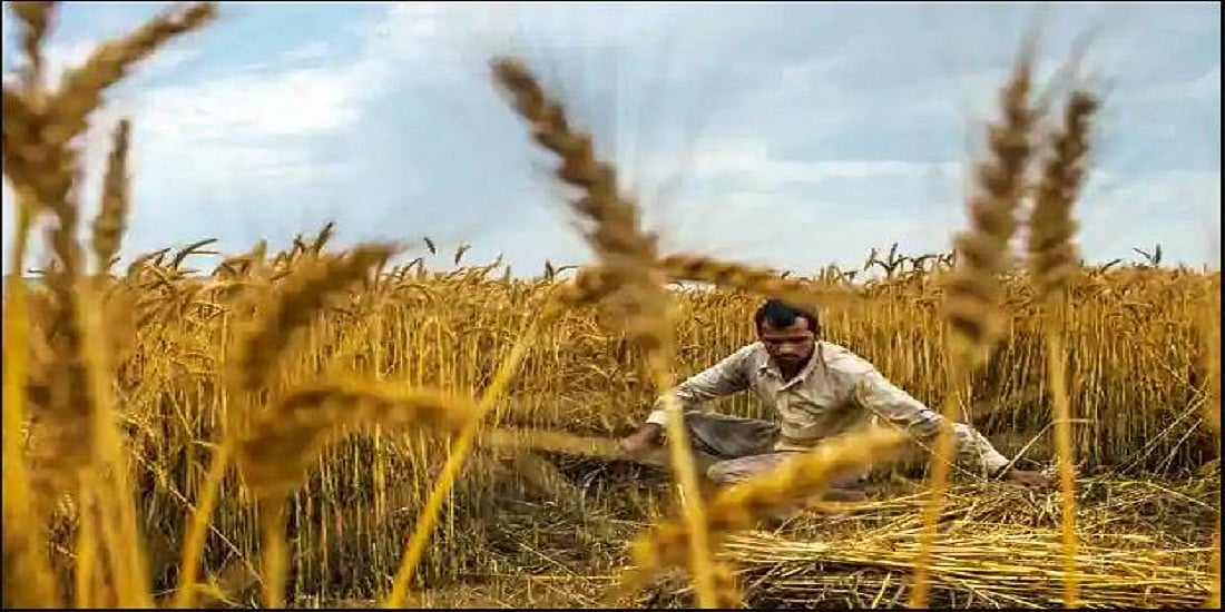एडवांस में किसानों से चौथाई फसल खरीद उसी गांव में बांटे सरकार, कोरोना संकट से देश को बचाने में मिलेगी मदद