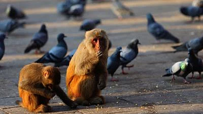 फोटोः सोशल मीडिया
