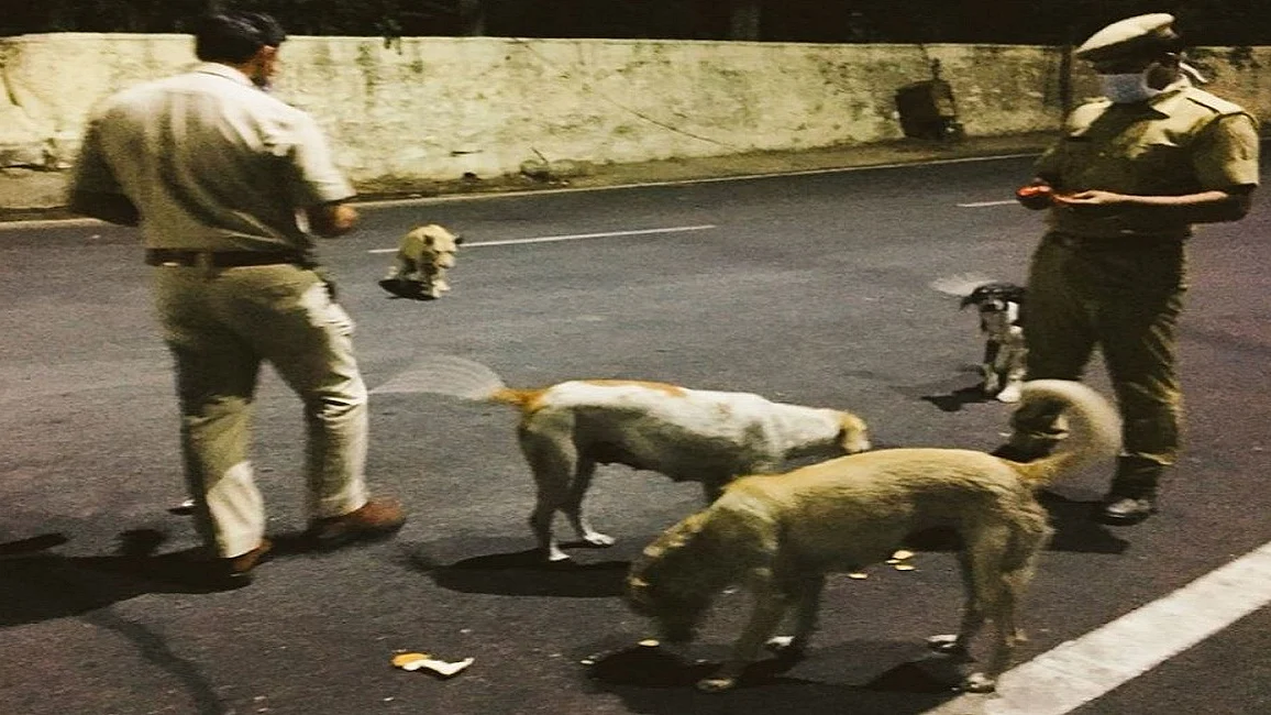 फोटोः सोशल मीडिया