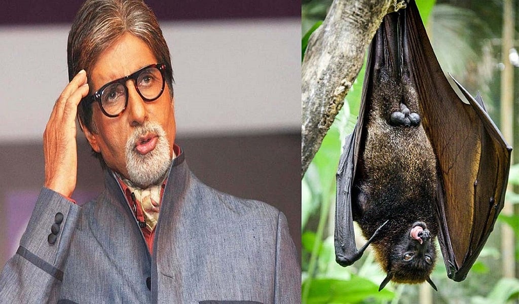 जब अमिताभ बच्चन के घर में घुसा चमगादड़ तो उड़े उनके होश! बोले- कोरोना तो पीछा ही नहीं छोड़ रहा