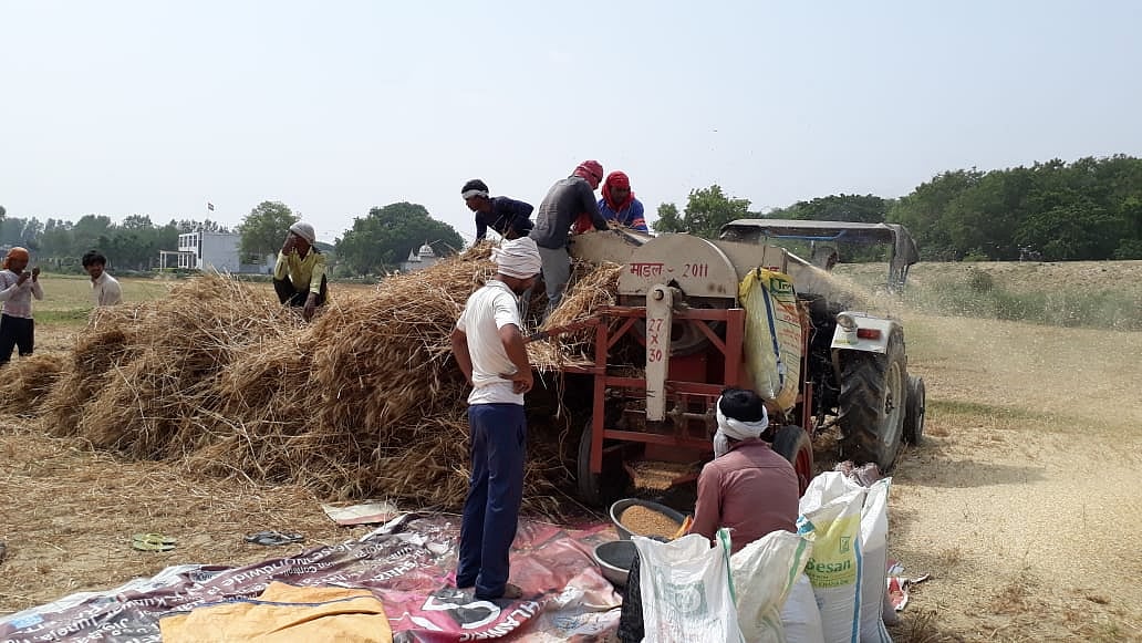 उत्तर प्रदेशः जैसी सरकार, वैसी फसल खरीद योजनाएं, गांव-गांव पैदा एजेंटों को फसल बेचने पर मजबूर किसान