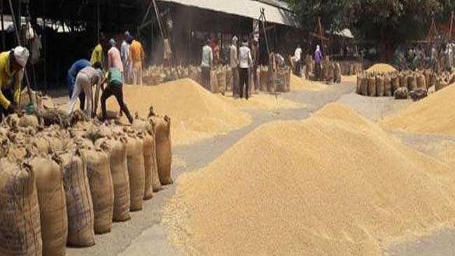 फोटोः सोशल मीडिया