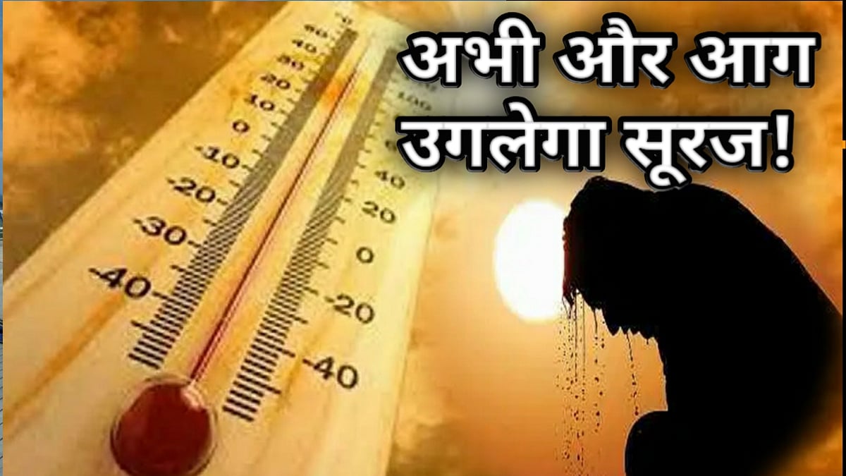 फोटो : सोशल मीडिया