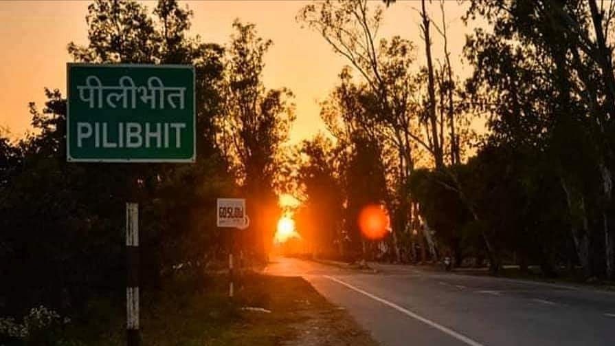 फोटो: आस मोहम्मद कैफ
