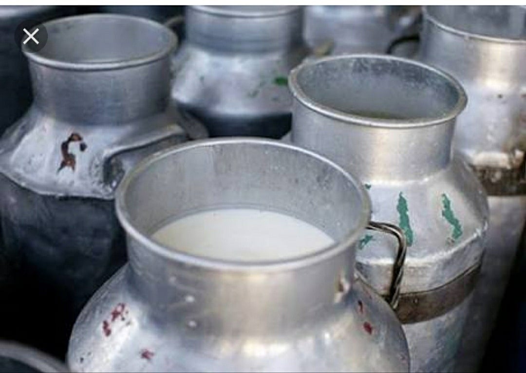 पंजाब: कोरोना ने बर्बाद किया दुग्ध का कारोबार, किसानों पर दोहरी मार 