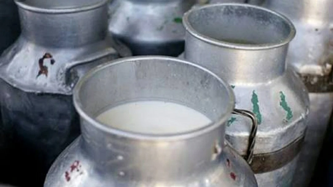 फोटो: सोशल मीडिया