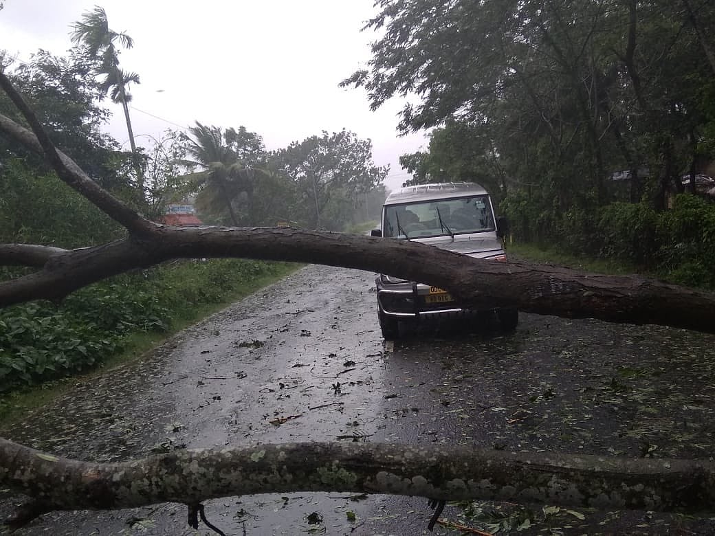 Amphan Cyclone LIVE: अम्फान ने बंगाल के उत्तर 24 परगना में दिखाया कहर, 2 की मौत, 2 गंभीर, 5500 घर तबाह