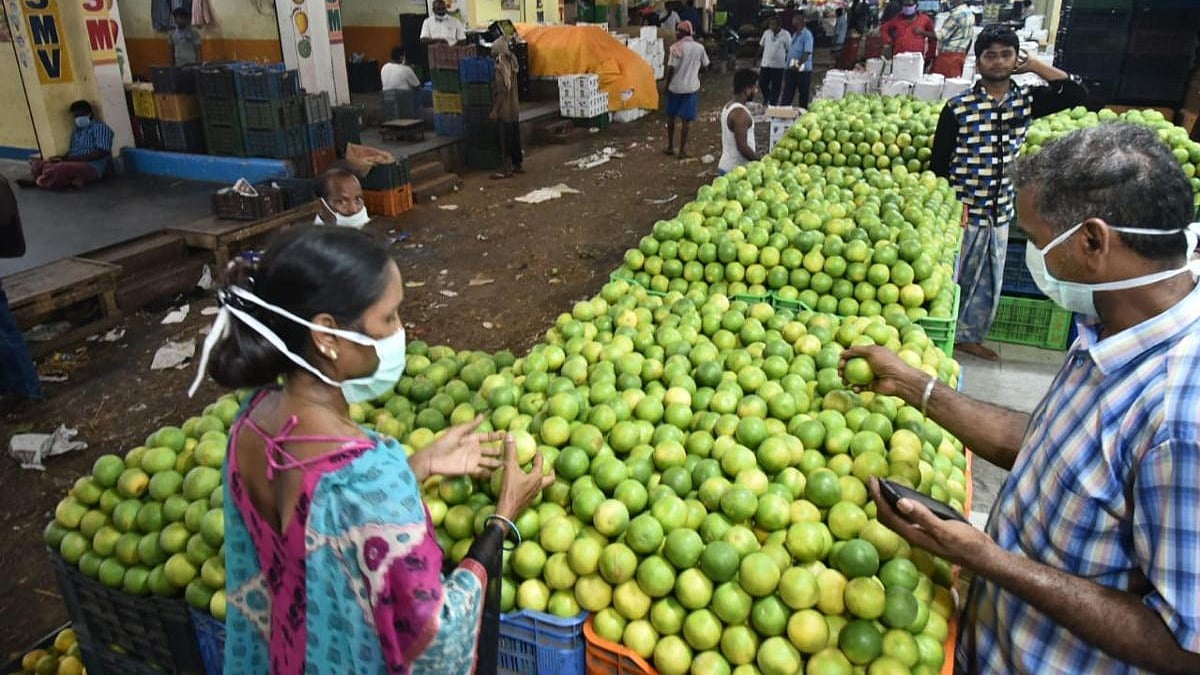 फोटो : सोशल मीडिया