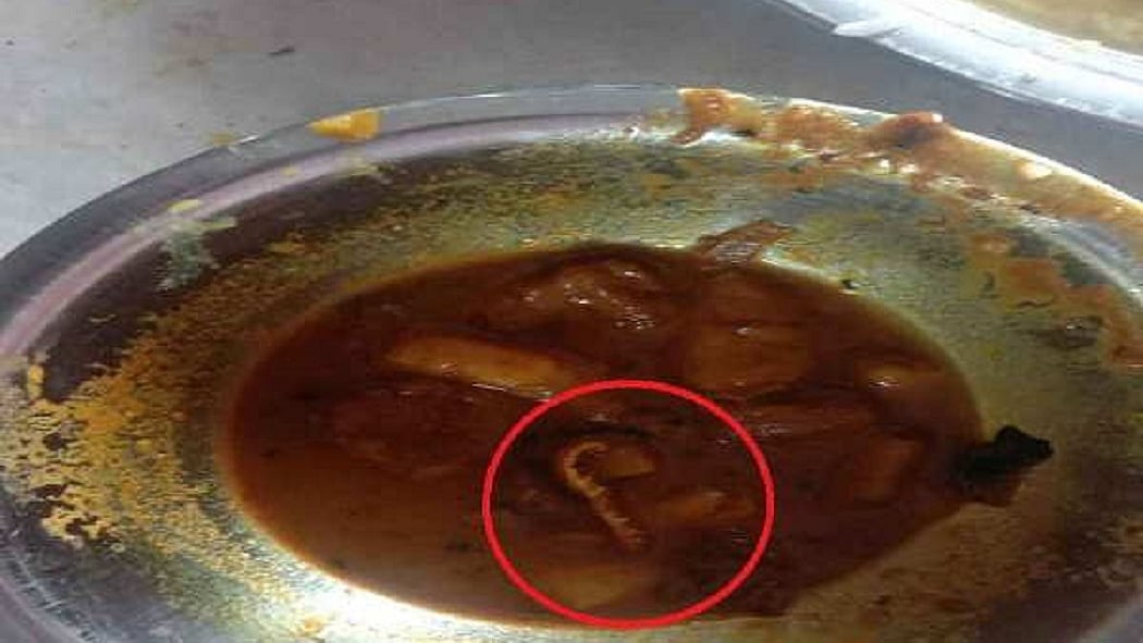 फोटो : सोशल मीडिया