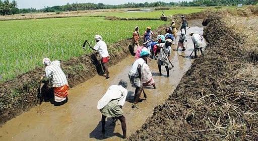 कोरोना महामारी में प्रवासी मजदूरों के लिए मनरेगा बना सहारा, जून में 84 फीसदी से ज्यादा मिला काम