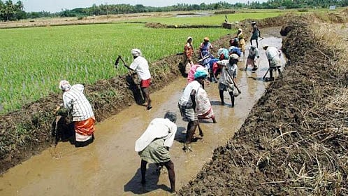 फोटो: सोशल मीडिया