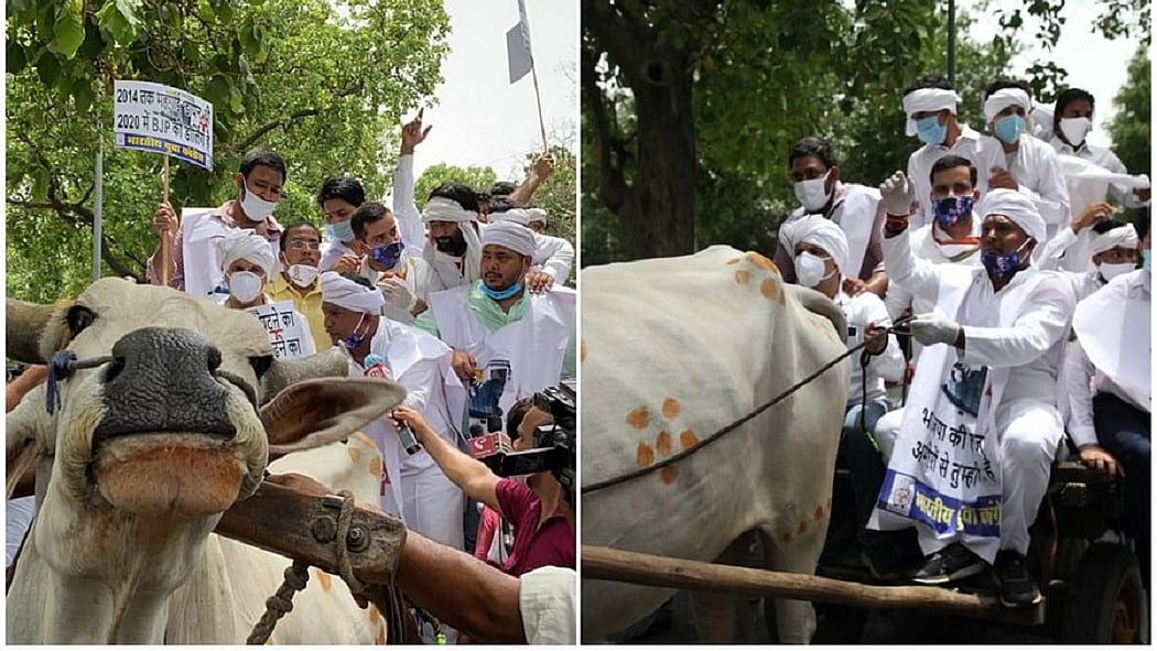 फोटो: सोशल मीडिया