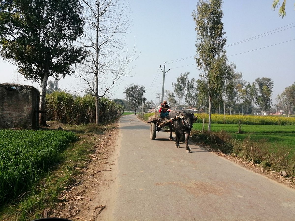 किसान आंदोलनों के गढ़ में किसान  आत्महत्या पर मजबूर, मतलब बहुत बड़े संकट में है देश का अन्नदाता