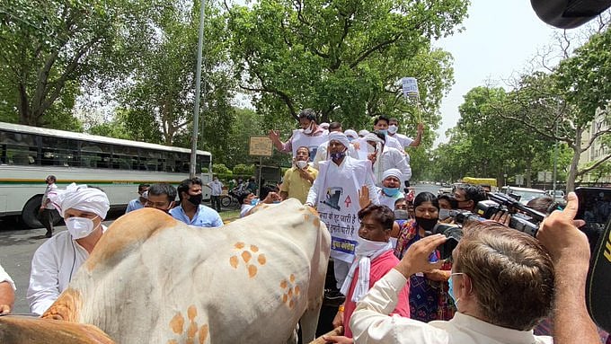 नवजीवन बुलेटिन: तेल कीमतों पर कांग्रेस का देशव्यापी प्रदर्शन, कहीं साइकिल तो कहीं बैलगाड़ी पर बैठकर किया विरोध