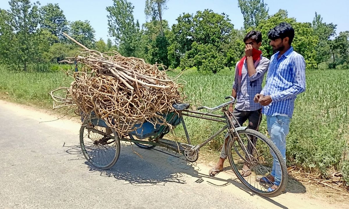 फोटोः आस मोहम्मद कैफ