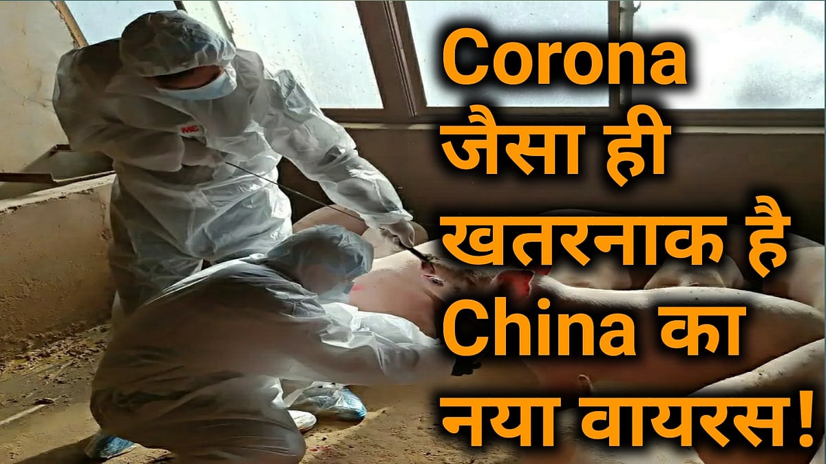 वीडियो: कोरोना संकट के बीच चीन में मिला नए तरह का वायरस, वैज्ञानिकों की उड़ी नींद!