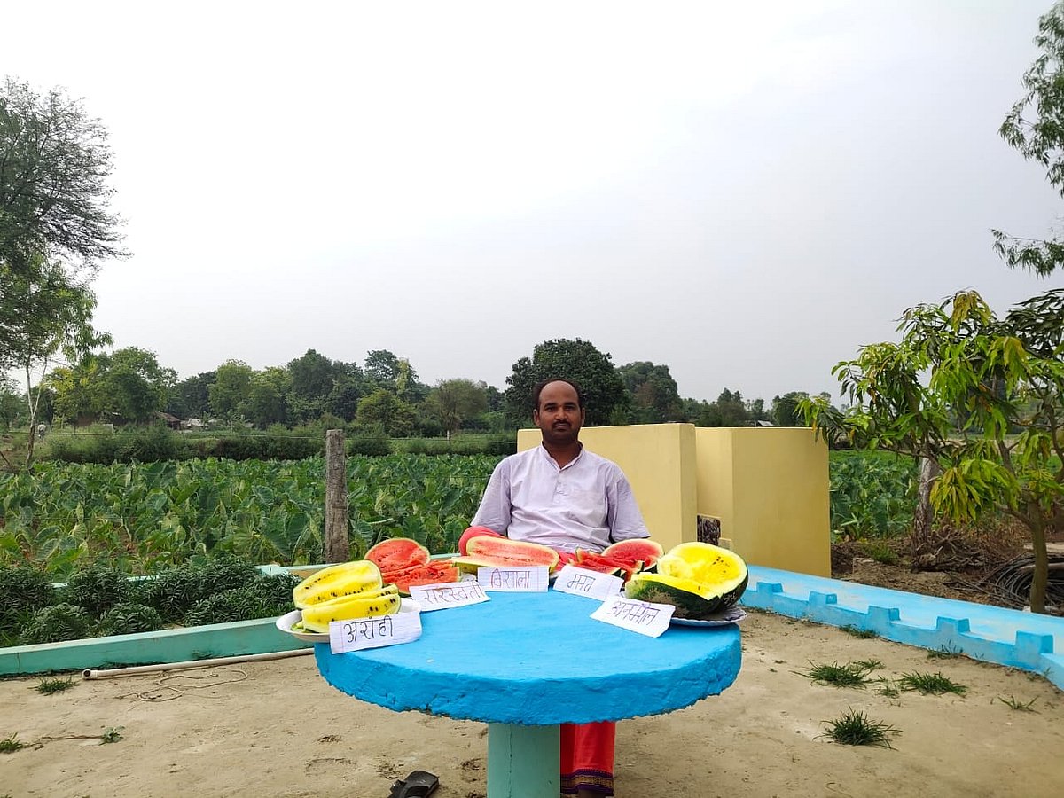 यूपी का ये किसान कर रहा कमाल, अपने खेतों में उगा रहा पांच रगों के तरबूजे, पूरी खबर पढ़कर रह जाएंगे हैरान