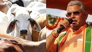 फोटो: सोशल मीडिया