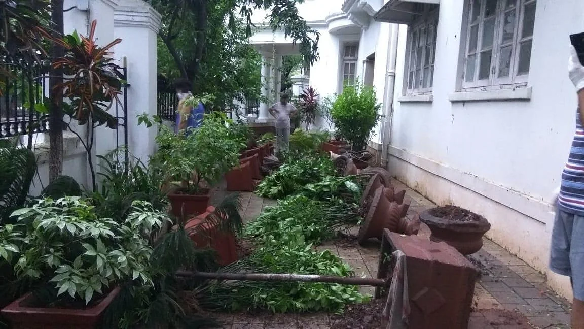 फोटो: सोशल मीडिया