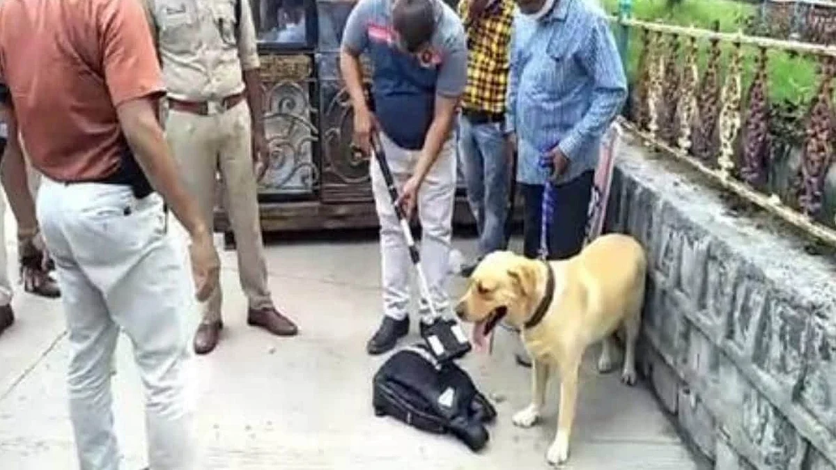 फोटो: सोशल मीडिया