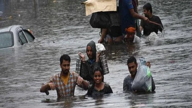 फोटो: सोशल मीडिया