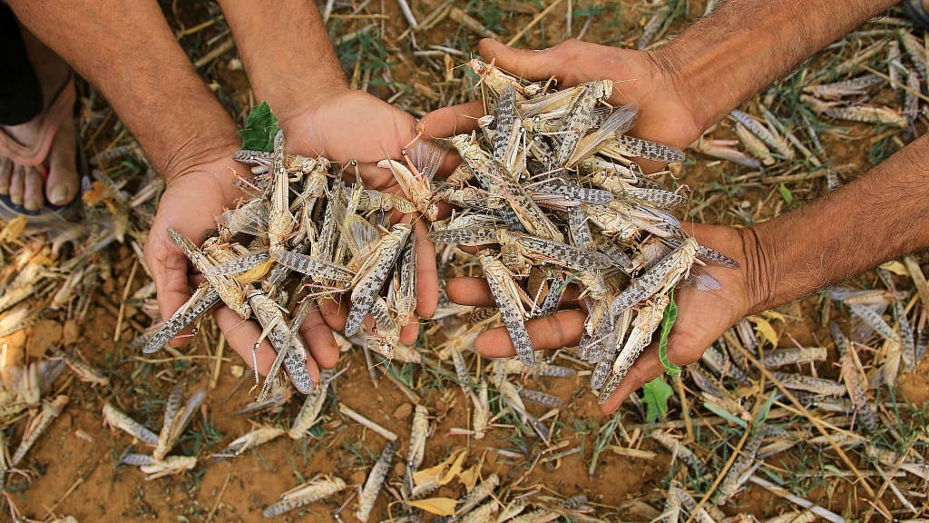 फोटो : Getty Images