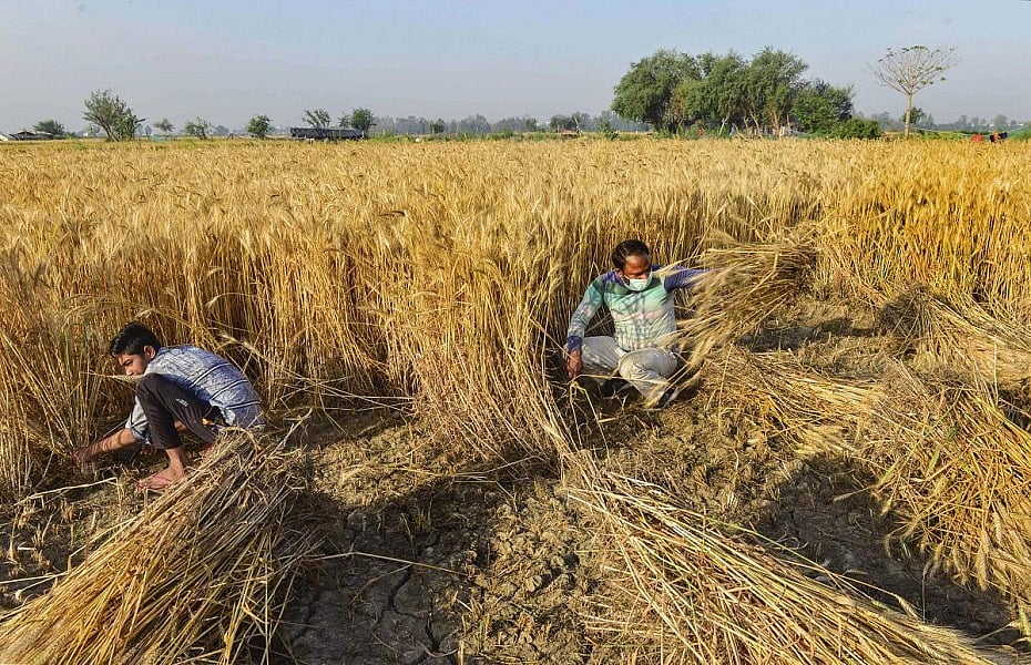 कोरोना संकट में गावों ने किया साबित, वहीं हैं देश की अर्थव्यवस्था की जड़ें, बन सकते हैं मजबूत आधार