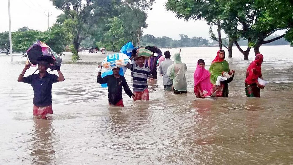 फोटो: सोशल मीडिया