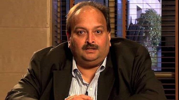 फोटो : सोशल मीडिया