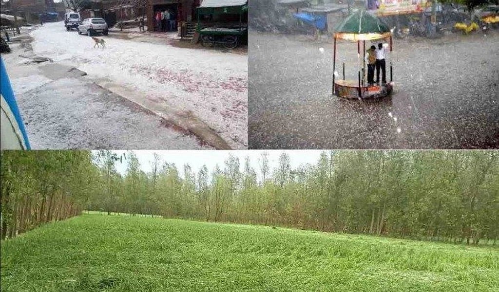 बिहार में बारिश और बाढ़ से किसानों पर टूटा ‘कहर’, करीब 20 जिलों में तबाही, 33 फीसदी फसलें बर्बाद