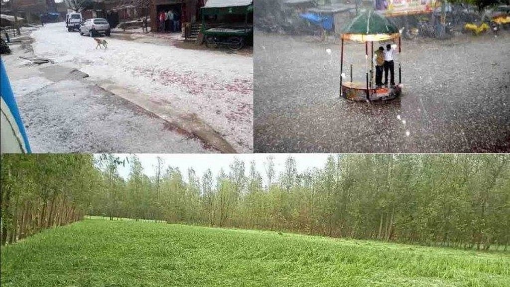 फोटो: सेशल मीडिया