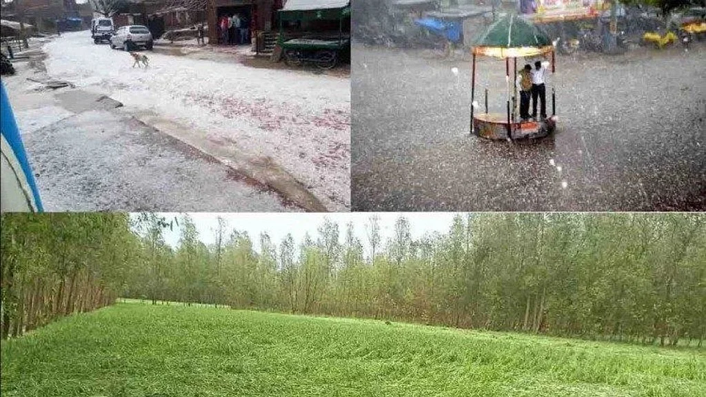 फोटो: सेशल मीडिया