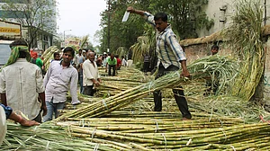फोटो: IANS