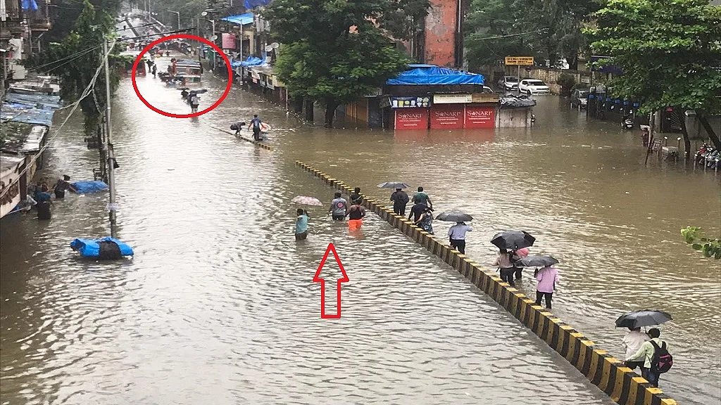 फोटो: सोशल मीडिया