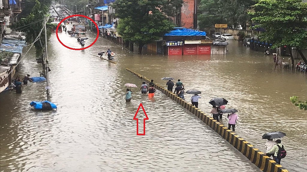 फोटो: सोशल मीडिया