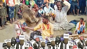 पेड न्यूज़ से आगे बढ़कर पेड चैनल का दौर: सब्ज़ी वाले की तरह आवाज़ लगाकर बेच रहे हैं खबरें टीवी चैनल