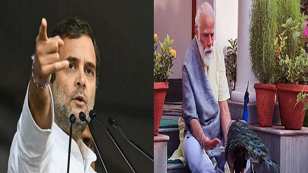 फोटो: सोशल मीडिया